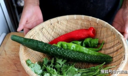 老虎菜吃瓜爆料,揭秘娱乐圈幕后真相