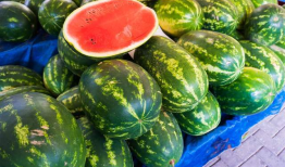 全国各地吃瓜爆料,各地吃瓜爆料大汇总