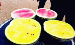 吃瓜爆料中心,吃瓜爆料中心独家揭秘明星幕后故事