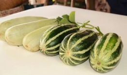 网红爆料吃瓜718,718事件背后的惊人真相